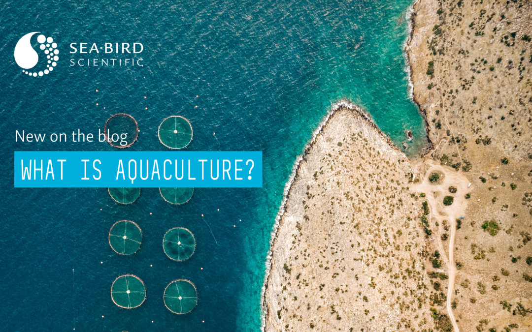 What is Aquaculture?