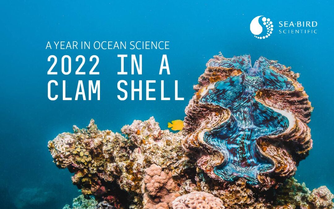 2022 in a Clam Shell