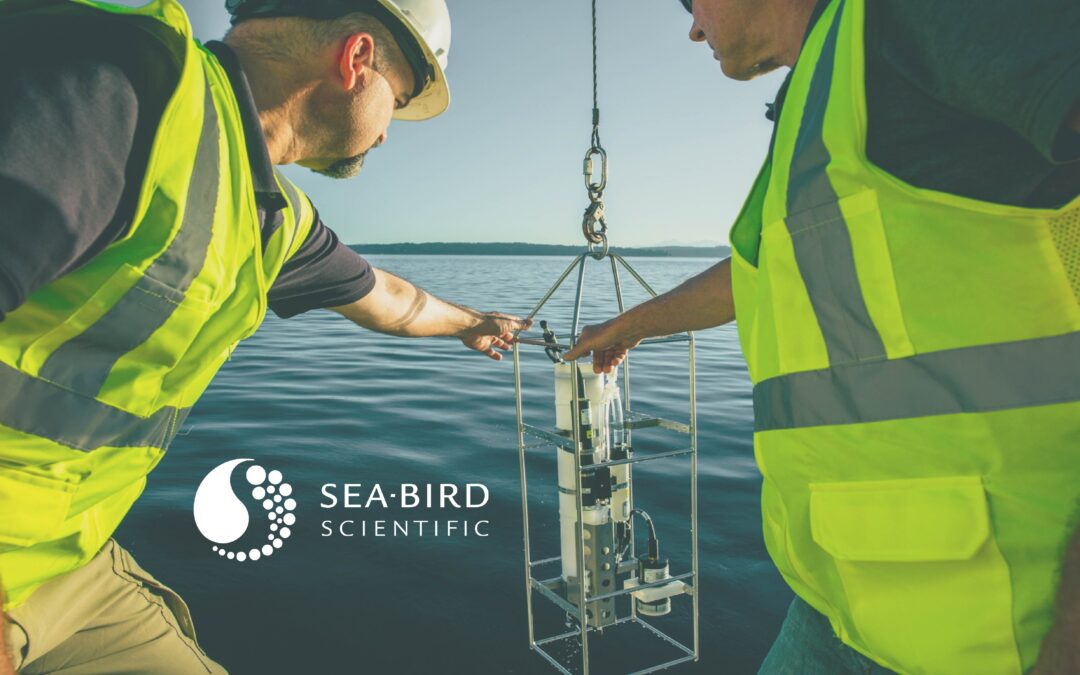 From the Shores of Sea-Bird Scientific | Our Brand Story