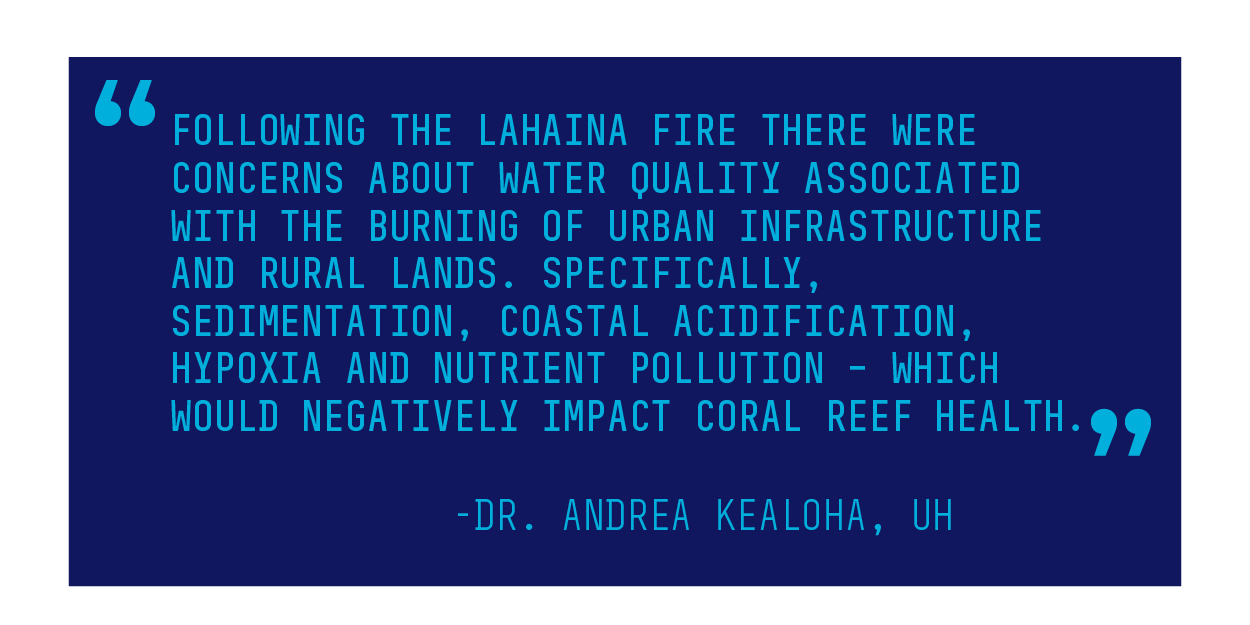 Dr. Andrea Kealoha Quote Lahaina Wildfire 2023